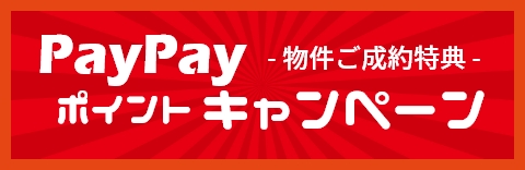 PayPayポイントキャンペーン